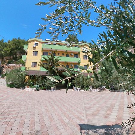 Hotel Bolonja Shengjin Ngoại thất bức ảnh